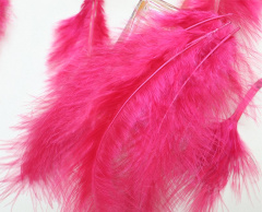 Перья, Малиновый, 12-15 см, 50 шт.
